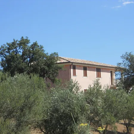 Rocce E Ulivi * Cardedu