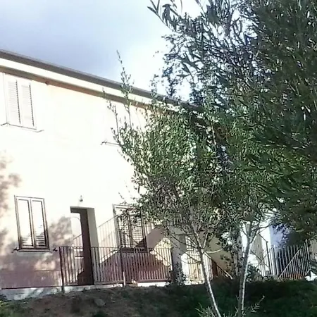 Rocce E Ulivi *