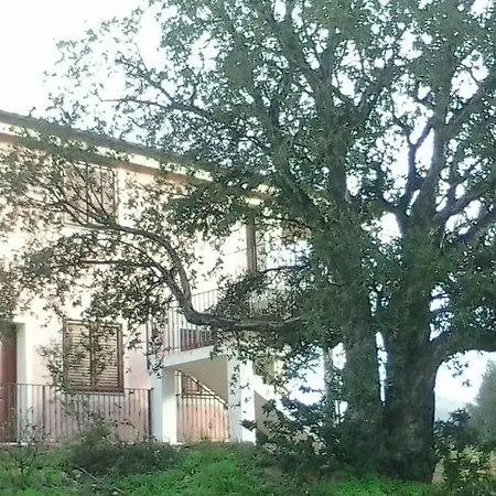Διαμέρισμα Rocce E Ulivi